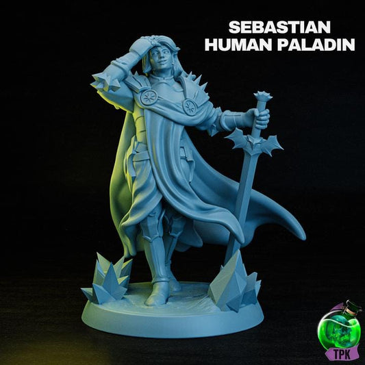 Sebastian | Human | DnD | Knight | Paladin | Fantasy | Warrior | Fighter | Male Knight | Male Paladin | Dungeon and Dragons | Mini | 32mm