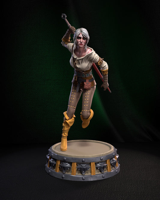 Ciri | Witcher | Netflix | Books | Dragons | Model | Figure |