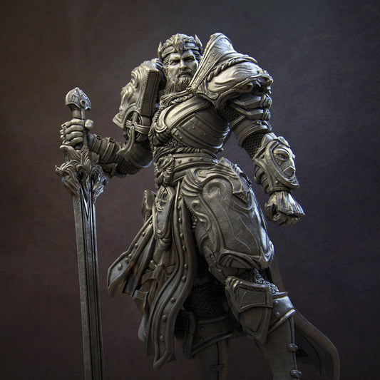Human Paladin|  DND | Warrior Class |  Knight | Human Warrior| RPG| Fantasy| Tabletop| Wargaming| Gaming|