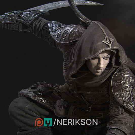 Nasir Assassin Rogue Thief Silent Killer Bounty Hunter Human Rogue Human Assassins Assassins Creed