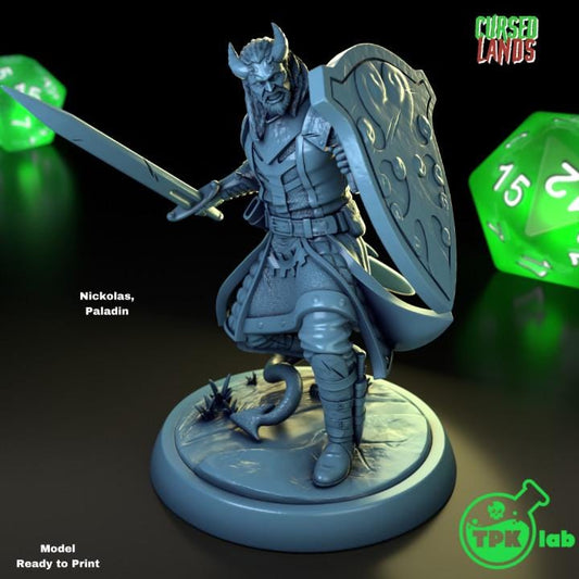 Tiefling | Paladin | Cleric | Fantasy | DnD | Miniature | Model | Medieval | Wargaming | Fighter | Warrior