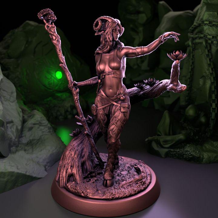 Satry | Druid | Nature | Magic | Faye | Fairy | Fantasy | DnD | Fay Wild |